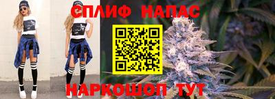 твердый Камышлов