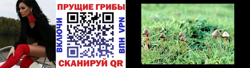 Галлюциногенные грибы мухоморы  Назарово 